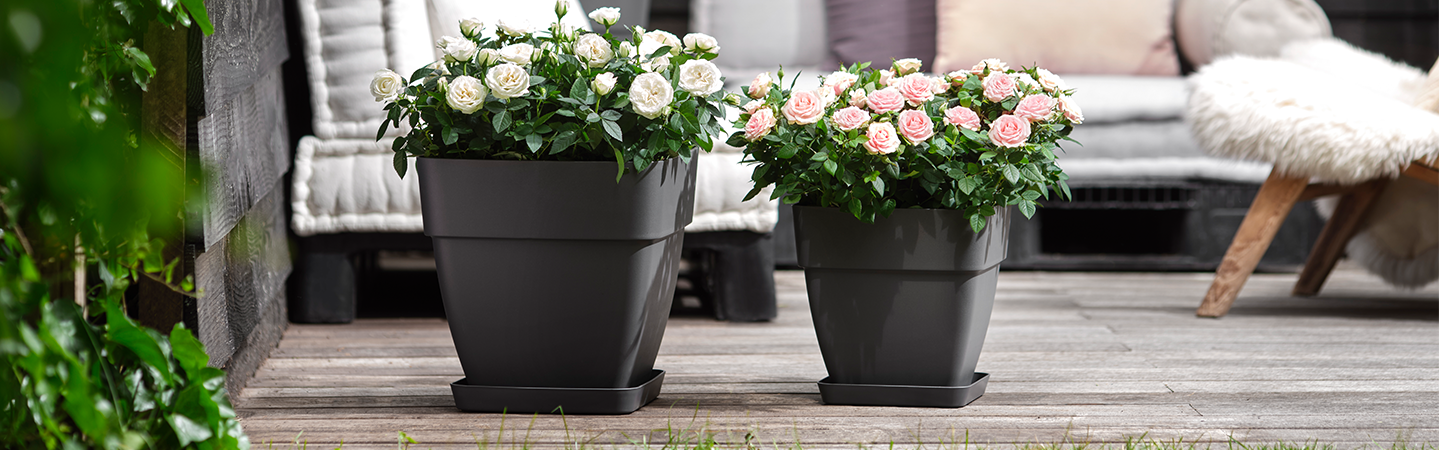 vibia campana quadrat 37cm anthrazit